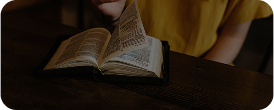 Bible Translation